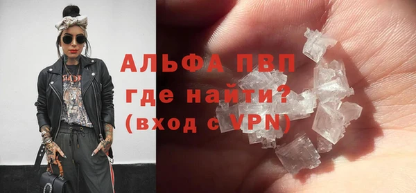 дживик Краснослободск