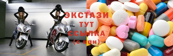 дживик Краснослободск