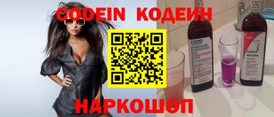 мдпв Кингисепп