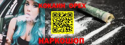 мдпв Кингисепп