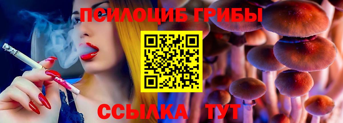 Псилоцибиновые грибы мицелий Симферополь